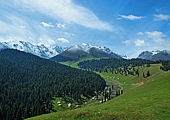 Nanshan Pastures