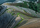 Longsheng