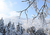 Emei Mountain